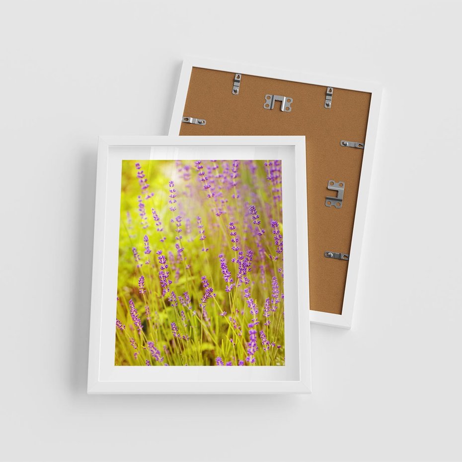 Plakat w ramie 40x50 - Delikatność natury - lawenda, kwiaty - rama biała