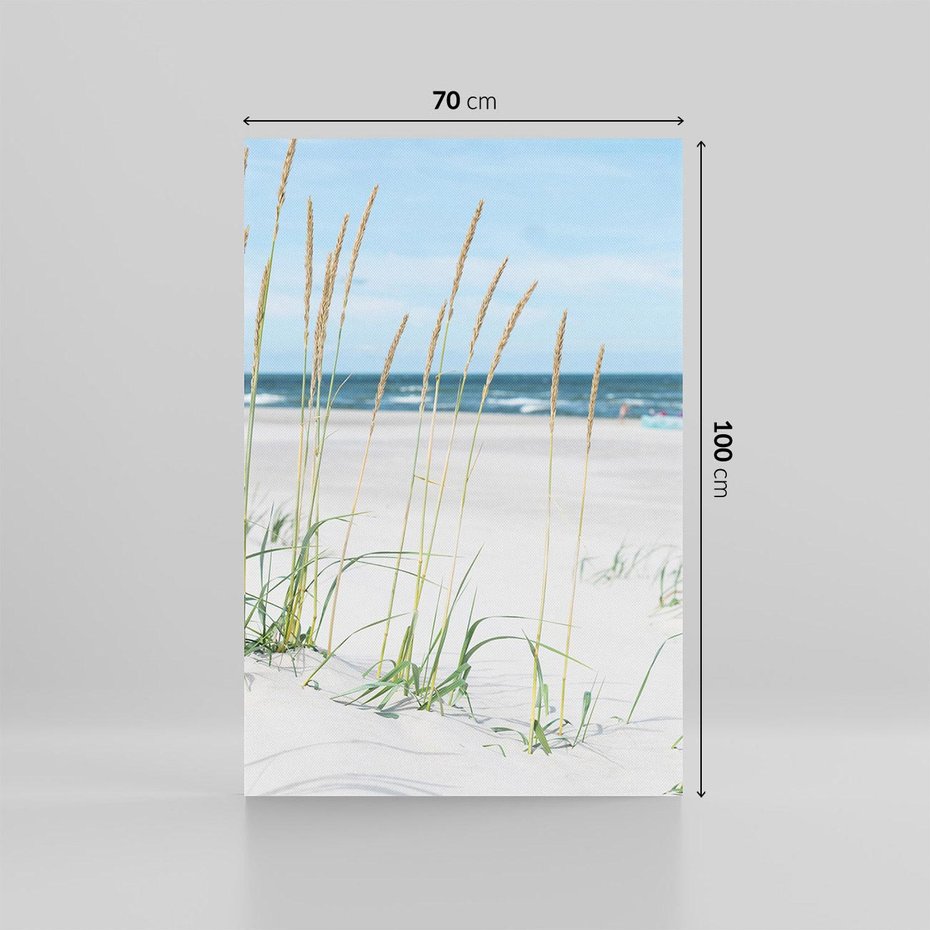 Obraz na płótnie 70x100 - Przytulna Śródziemnomorska Trawa - plaża, trawy