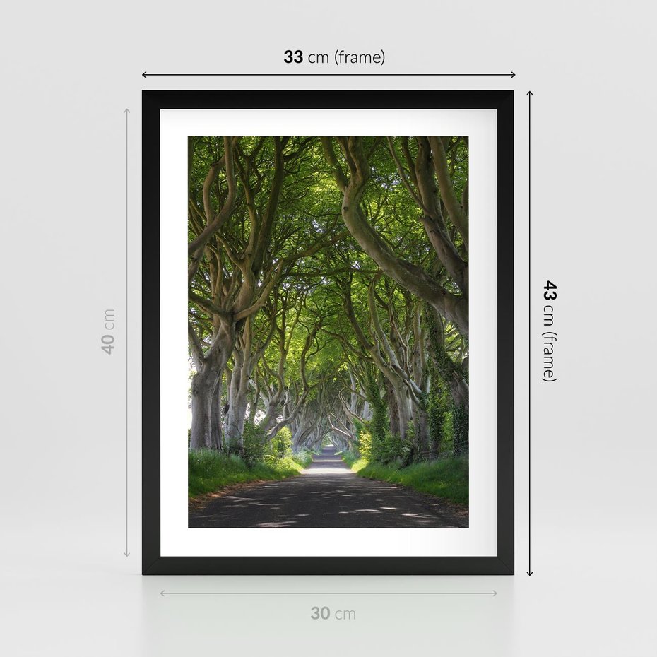 Plakat w ramie 30x40 - Magiczny Las - drzewa, las - rama czarna