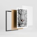 Plakat w ramie 50x70 - Magia Białego Tygrysa - biały, tygrys - rama czarna