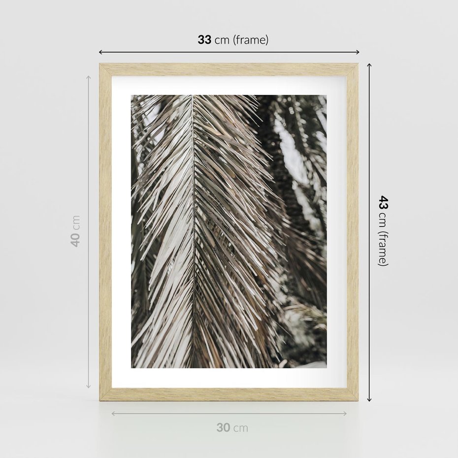 Plakat w ramie 30x40 - Egzotyczne Gałęzie - suche gałęzie, liście palmy - rama drewno