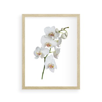 Plakat w ramie 40x50 - Ekskluzywny Relaks - storczyk, spa - rama drewno