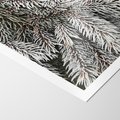 Plakat bez ramy 40x50 - Cisza Zimowej Natury - zima, iglaste gałązki