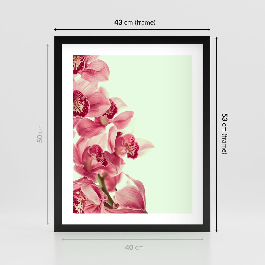 Plakat w ramie 40x50 - Orchidea - delikatne kwiaty - orchidea, kwiaty - rama czarna