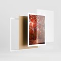 Plakat w ramie 50x70 - Magia jesiennego lasu - las, jesień - rama biała