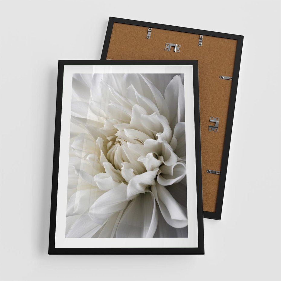 Plakat w ramie 50x70 - Białe Kwiaty Delikatności - białe, kwiaty - rama czarna