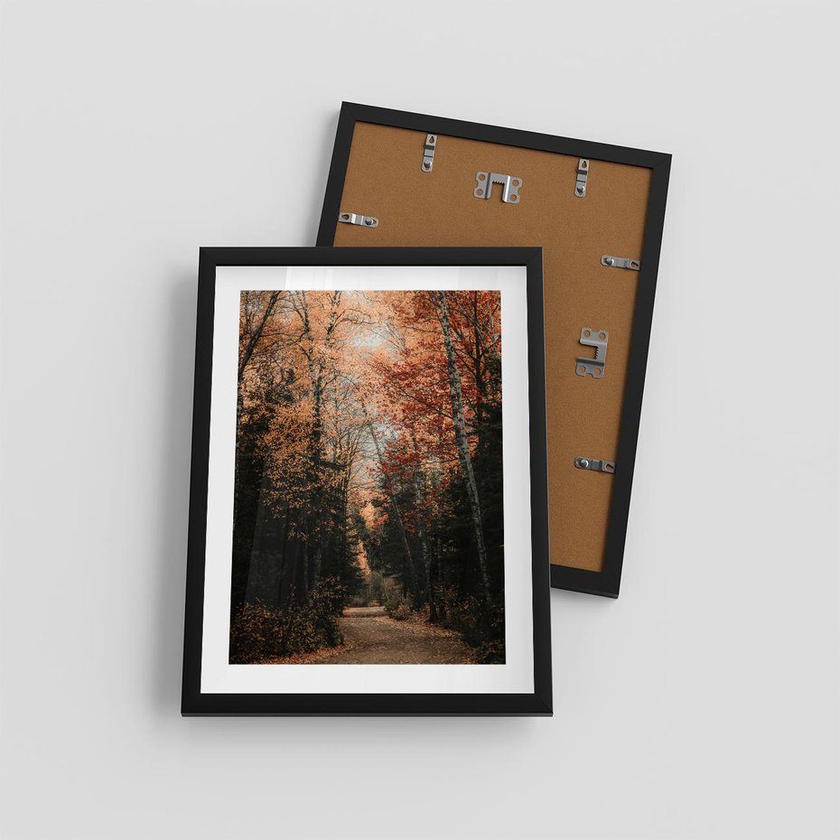 Plakat w ramie 30x40 - Drzewa w Czerwonych Liściach - las, jesienny las - rama czarna