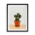 Plakat w ramie 50x70 - Kwiatowy taniec kaktusa - kaktus, kwiat - rama czarna