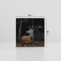 Obraz na płótnie 50x50 - Spotkanie z naturą - jeleń, las