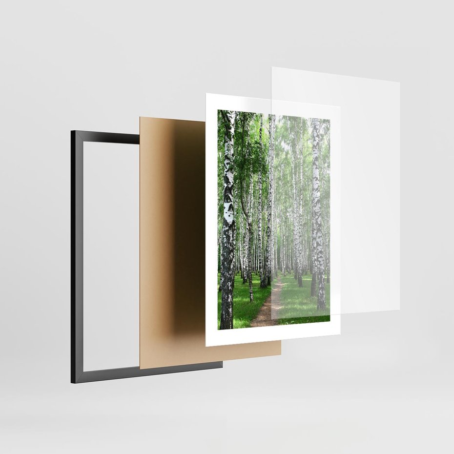 Plakat w ramie 30x40 - Magia lasu pełnego brzóz - las, brzozy - rama czarna