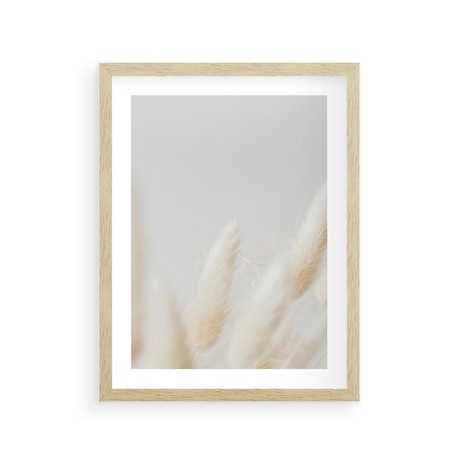 Plakat w ramie 30x40 - Biały Spokój - białe trawy, suche trawy pampas - rama drewno