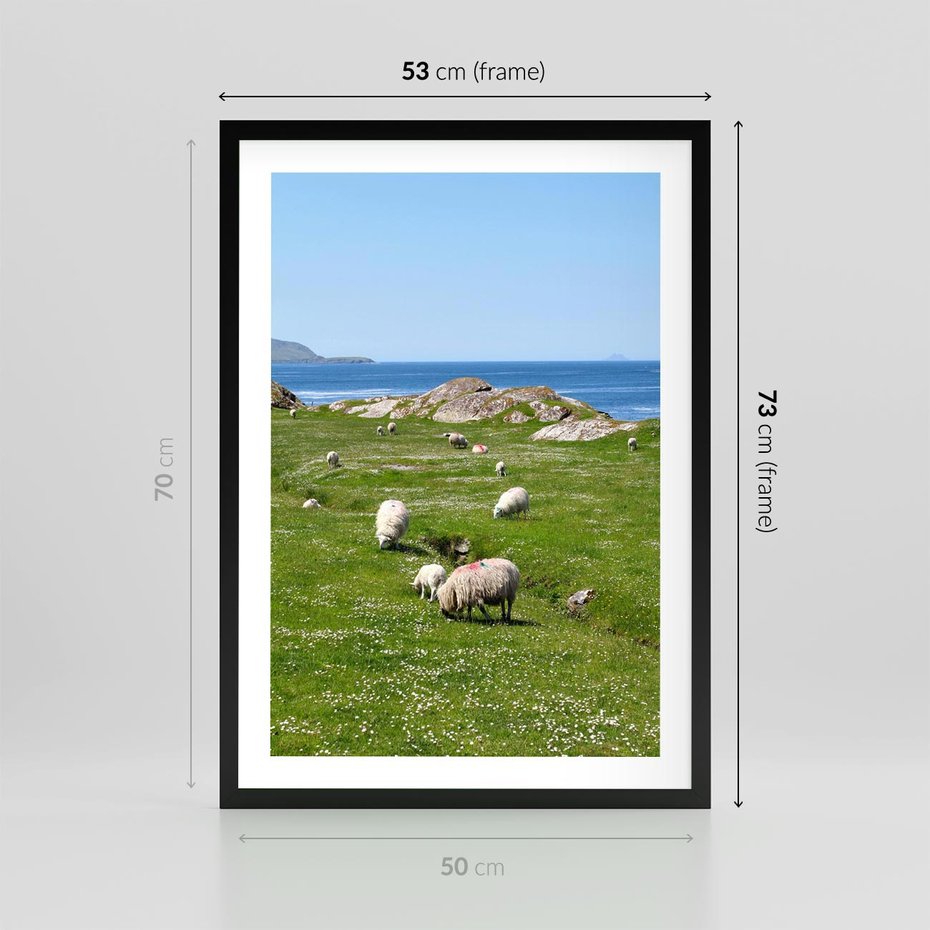 Plakat w ramie 50x70 - Górskie Owce - góry, owce - rama czarna