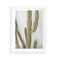Plakat w ramie 50x70 - Kaktus w Stylu Boho - kaktus, roślina tropikalna - rama biała