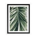 Plakat w ramie 50x70 - Spokojna Piękność Palmowych Liści - palma, liście palmy - rama czarna