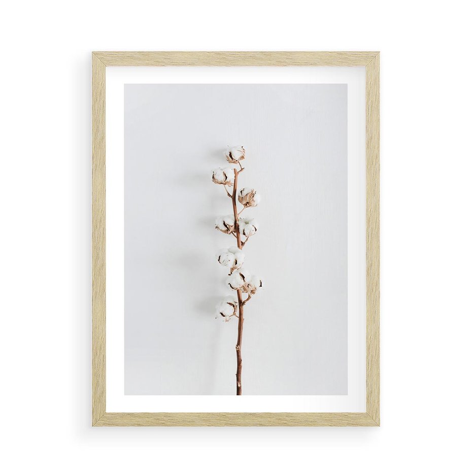 Plakat w ramie 50x70 - Minimalistyczna Gałązka Bawełny - bawełna, gałązka bawełny - rama drewno