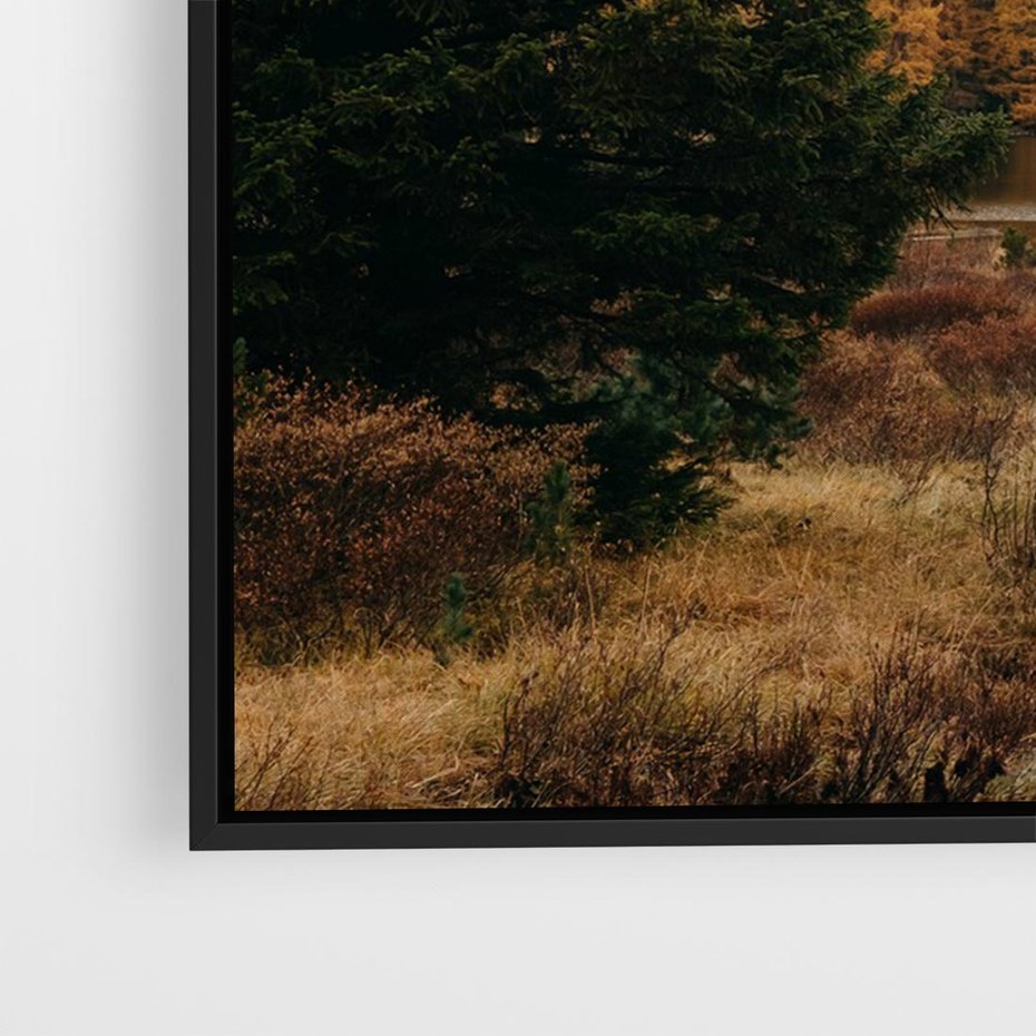 Obraz w ramie 70x50 - W Górskiej Dolinie - artystyczna fotografia, las - rama czarna