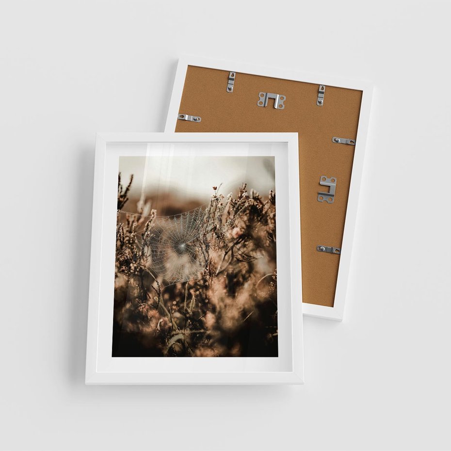 Plakat w ramie 40x50 - Jesienny Mikrokosmos - suchetrawy, jesienny klimat - rama biała