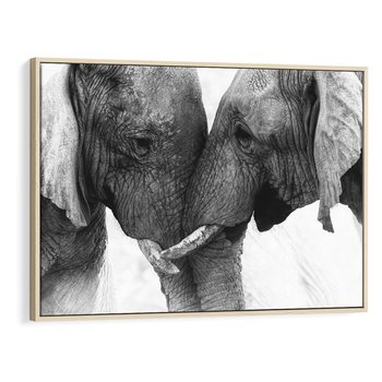 Obraz w ramie 120x80 - Spotkanie Mądrości - fotografia czarno biała, dwa słonie - rama drewno