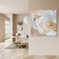 Obraz na płótnie 50x50 - Białe róże piękności - białe, róże