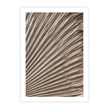 Plakat bez ramy 40x50 - Liść Palmy w Wyjątkowej Kompozycji - suchy liść palmy, boho styl