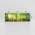 Obraz na płótnie 150x50 - Drzewa w harmonii - las, drzewa