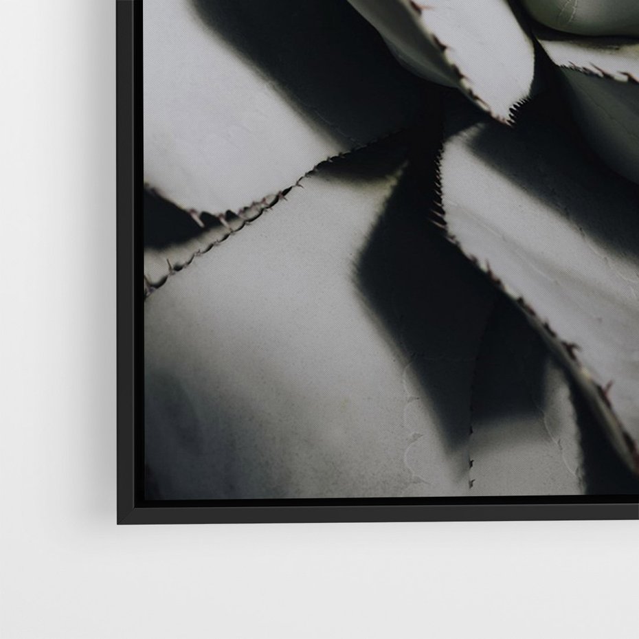 Obraz w ramie 70x100 - Sukulenty wśród kaktusów - sukulenty, kaktusy - rama czarna