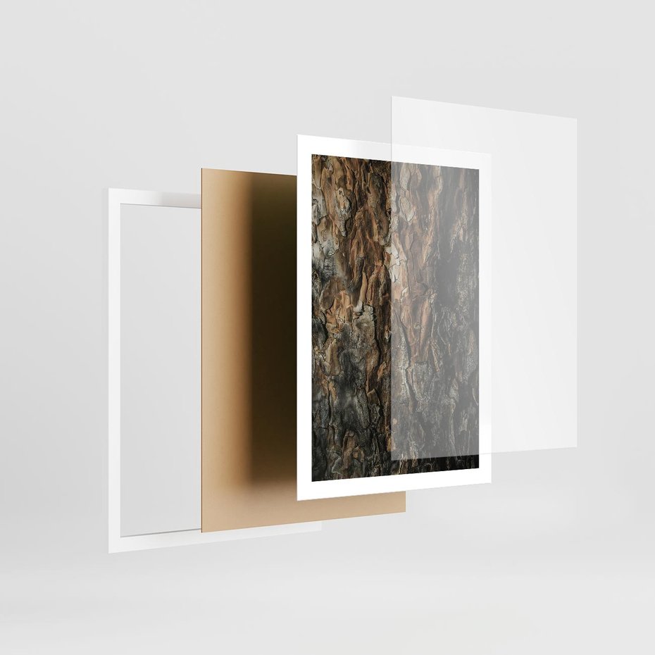 Plakat w ramie 50x70 - Tekstura Drewna: Zbliżenie - zbliżenie na pień drzewa, tekstura - rama biała