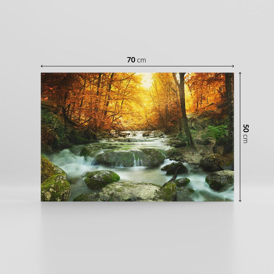 Obraz na płótnie 70x50 - Siła Natury: Strumień w Lesie - strumień, las