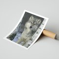 Plakat bez ramy 21x30 - Wilk w Zimowym Lesie - wilk, las