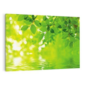 Obraz na płótnie 70x50 - Liście w Wodzie - liście, woda