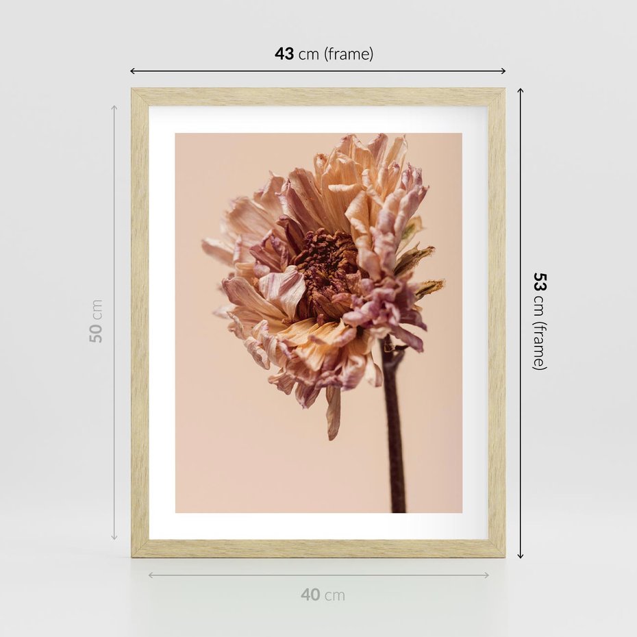 Plakat w ramie 40x50 - Delikatne piękno - suche, kwiaty - rama drewno