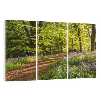 Obraz na płótnie 120x80 - Magia lasu: Drzewa w tajemniczej otoczce - las, drzewa