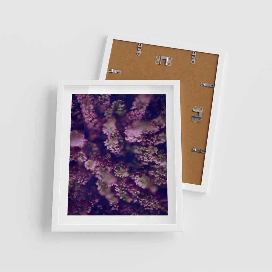 Plakat w ramie 40x50 - Wrzosowa Delikatność - wrzosy, kwiaty - rama biała