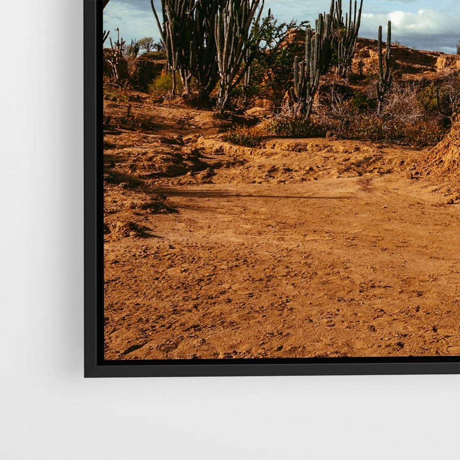 Obraz w ramie 50x50 - Skarby Pustynnego Kanionu - pustynia, kaktusy - rama czarna