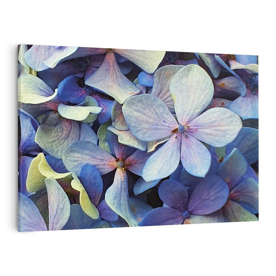 Obraz na płótnie 120x80 - Hortensja - delikatność kwiatów - hortensja, kwiaty