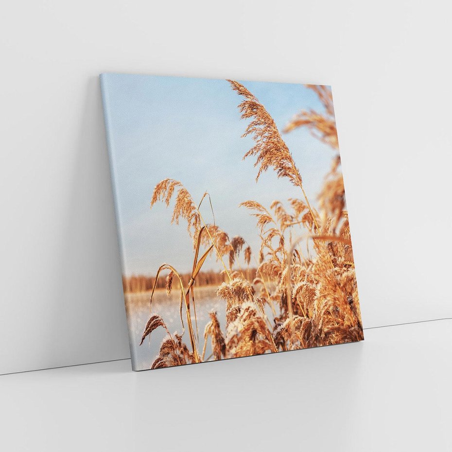 Obraz na płótnie 50x50 - Wyraz Stylu - trawy, boho