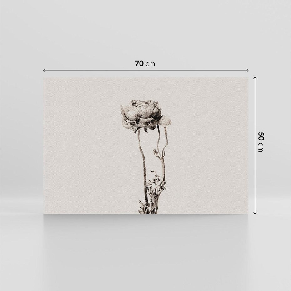 Obraz na płótnie 70x50 - Kwiatowa Symfonia w Szarościach - czarno biała odbitka, jak fotografia