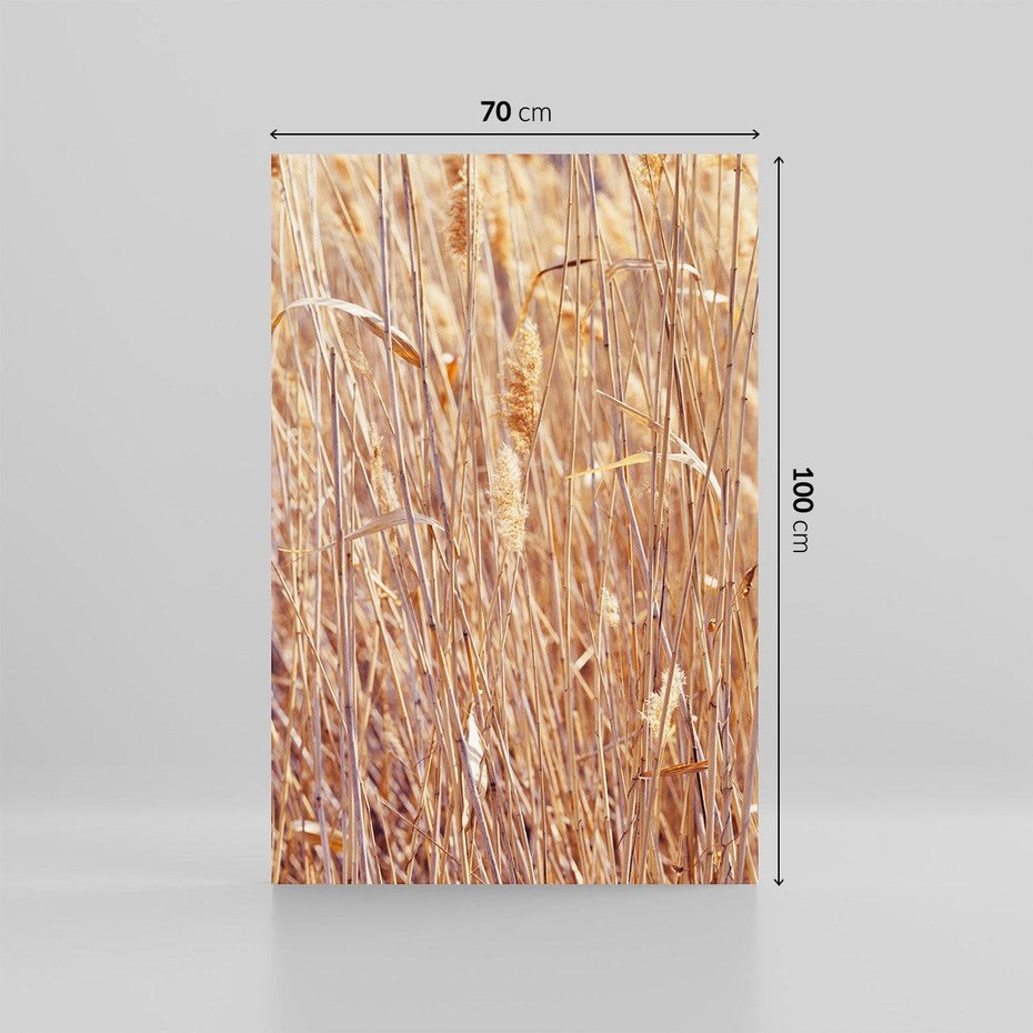 Obraz na płótnie 70x100 - Mistrzowskie suche trawy - suche, trawy