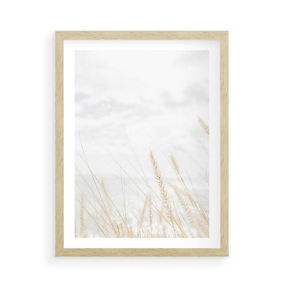 Plakat w ramie 50x70 - Jasna Delikatność: Fotografia Suchych Traw - suche trawy, jasna fotografia - rama drewno