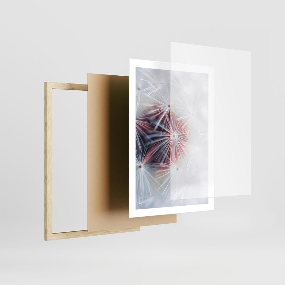 Plakat w ramie 50x70 - Minimalistyczna Delikatność - zbliżenie, dmuchawce - rama drewno