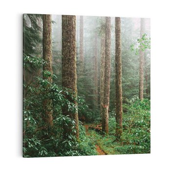 Obraz na płótnie 40x40 - Mgliste Marzenia - artystyczna fotografia, las