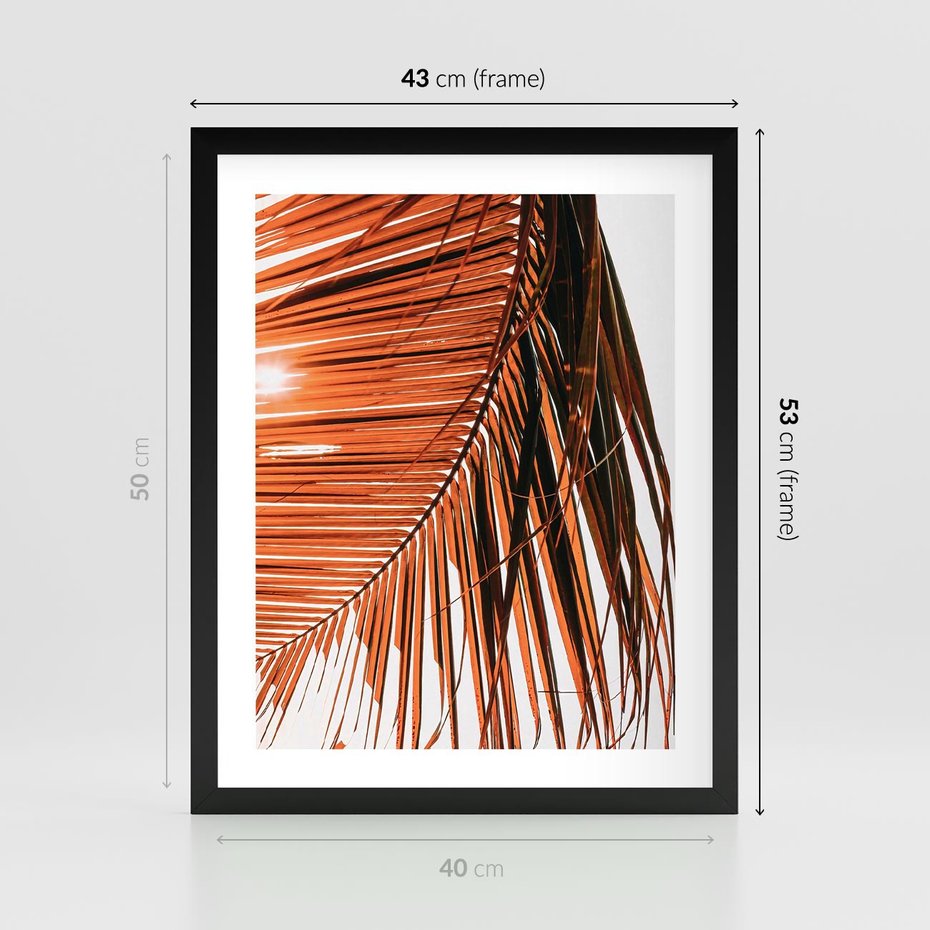Plakat w ramie 40x50 - Słońce na Palmie - palma, promienie słońca - rama czarna