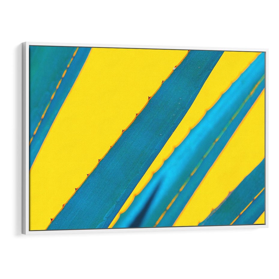 Obraz w ramie 70x50 - Świeżość Natury - aloes, liście - rama biała