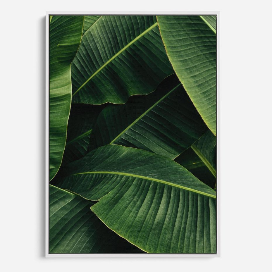 Obraz w ramie 50x70 - Zaklęta roślinna ekspresja - liście bananowca, gęsto ułożone - rama biała