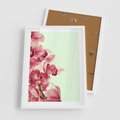 Plakat w ramie 50x70 - Orchidea - delikatne kwiaty - orchidea, kwiaty - rama biała