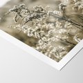 Plakat bez ramy 30x40 - Pampas i Bocho - suche trawy, bocho