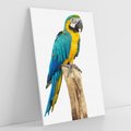 Obraz na płótnie 70x100 - Kolorowa papuga w locie - papuga, ptak