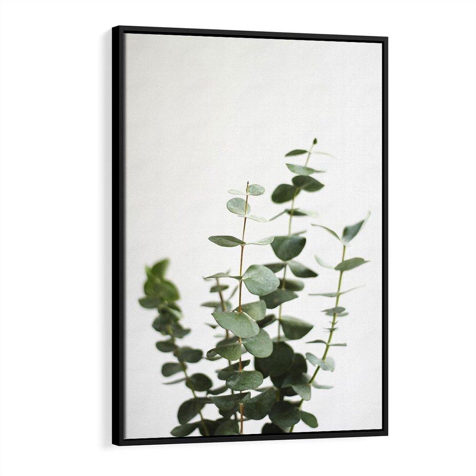 Obraz w ramie 50x70 - Żywa eukaliptusowa zieleń - eukaliptus, zielone - rama czarna