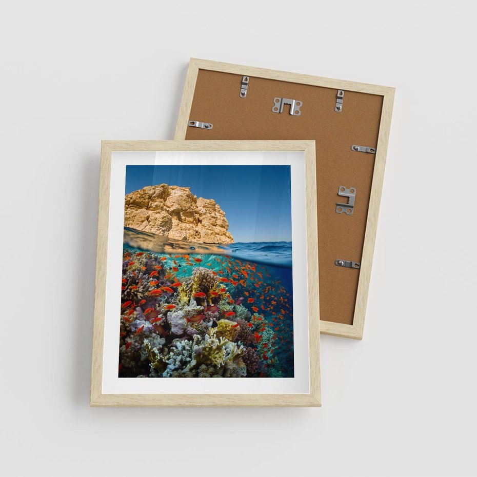 Plakat w ramie 40x50 - Rafa koralowa w oceanie - rafa, koralowa - rama drewno