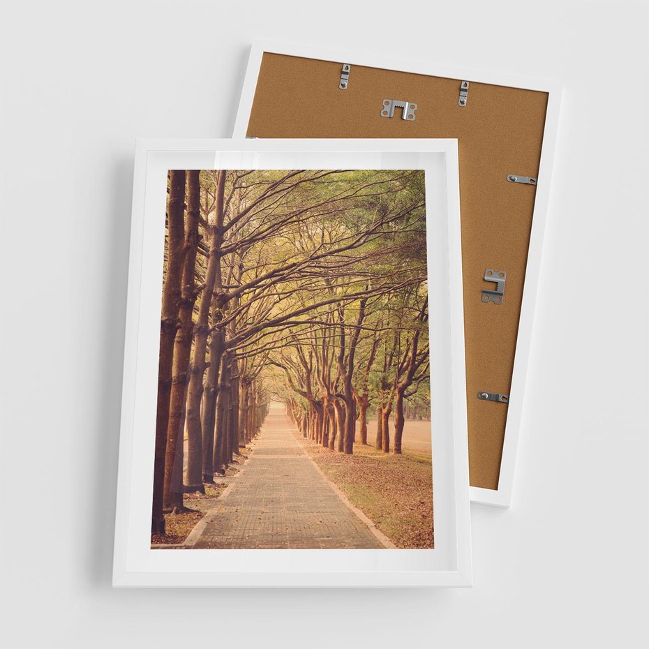 Plakat w ramie 50x70 - Wędrówka między drzewami - droga, drzewa - rama biała